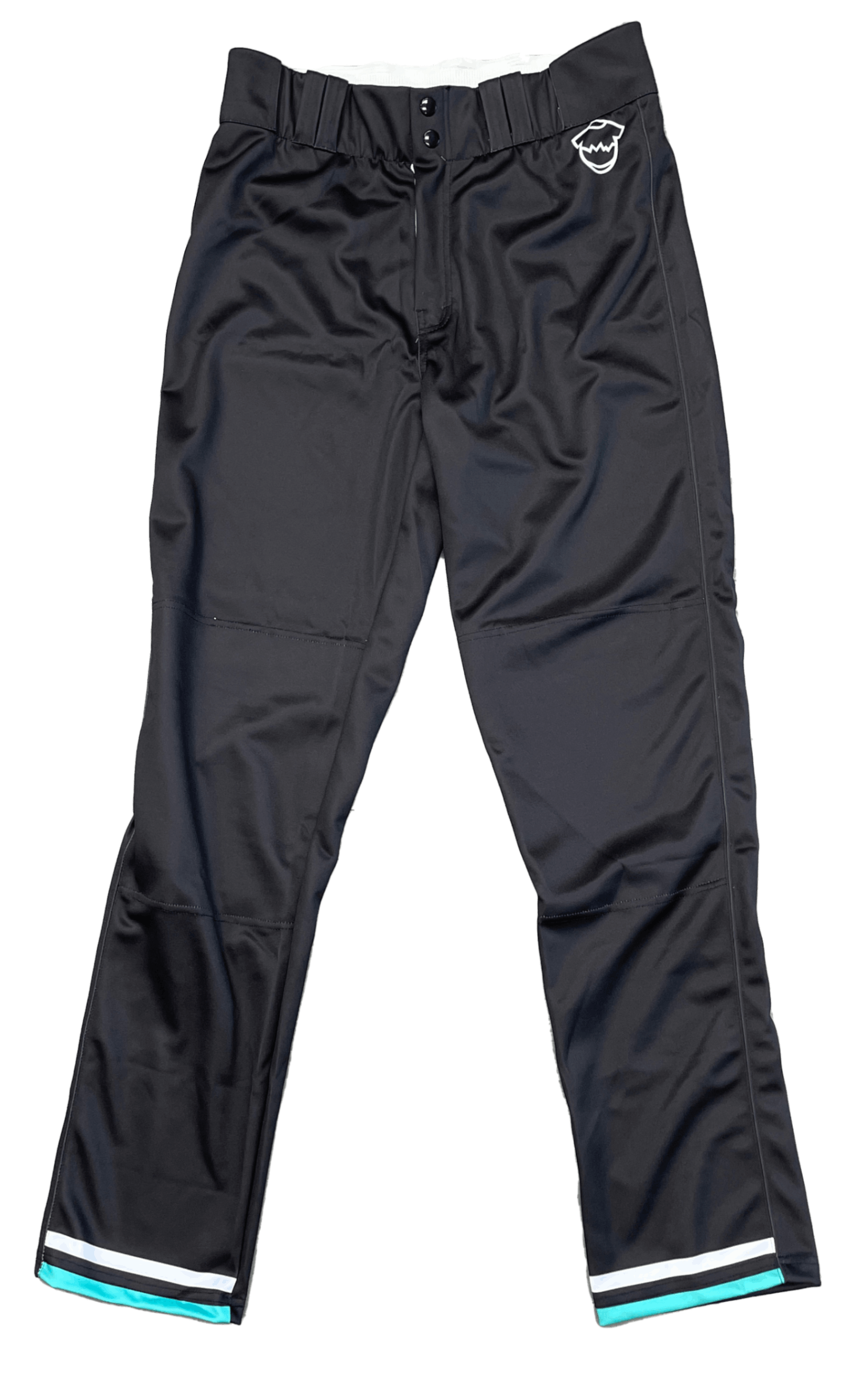 Custom Youth Sublimated Baseball Pants Coastal Reign